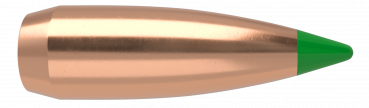 Nosler Balistic Tip 30125 Bullet